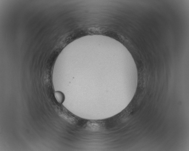 X0000080740706200701121937