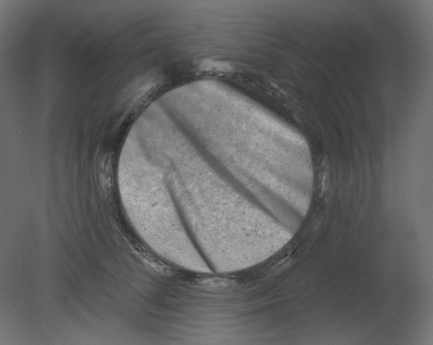 X0000080740708200701121937