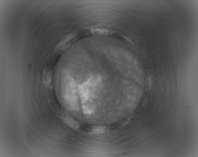 X0000080740709200701121937