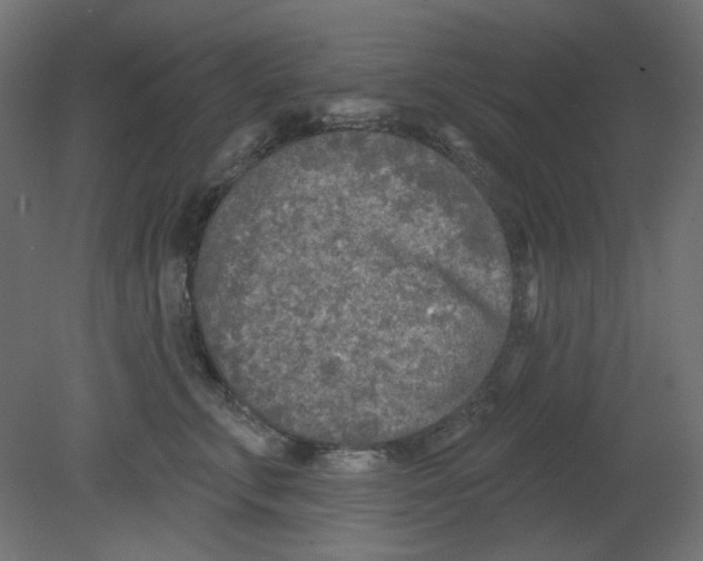 X0000080740711200701121937