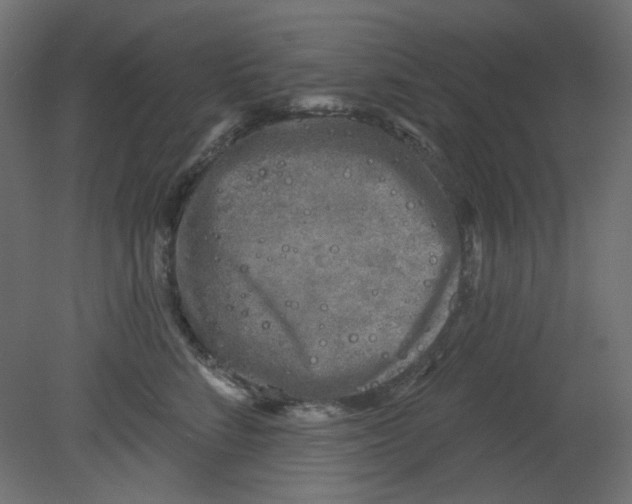 X0000080740712200701121937