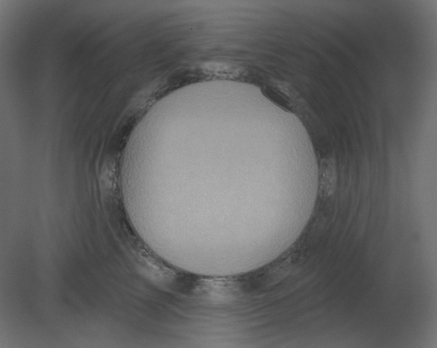 X0000080740713200701121937