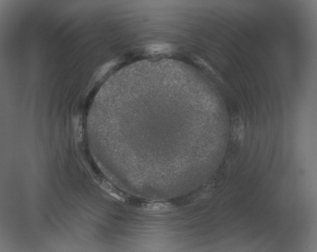 X0000080740716200701121937