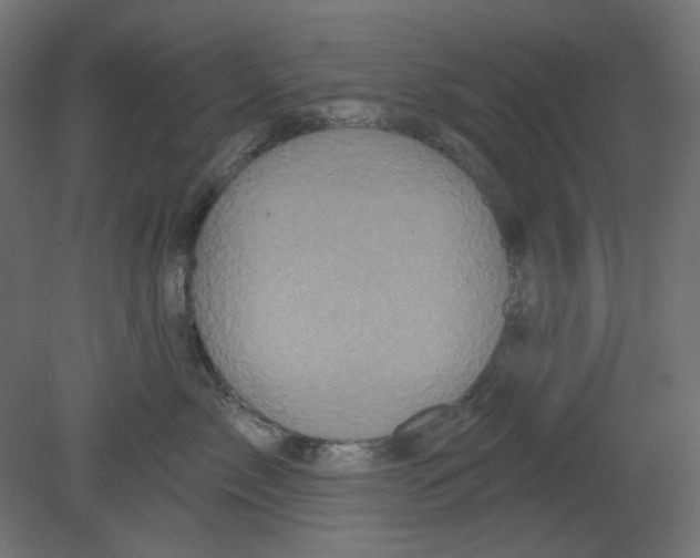 X0000080740717200701121937