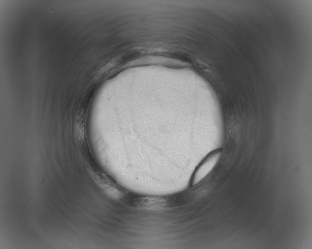 X0000080740719200701121937