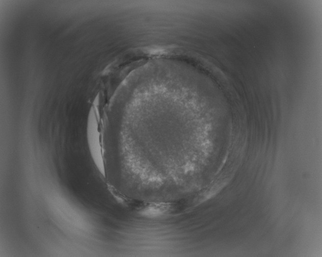 X0000080740720200701121936