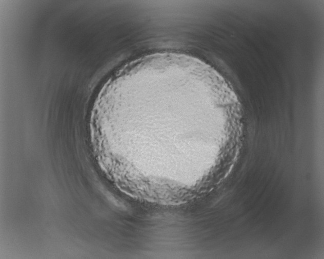 X0000080740721200701121936