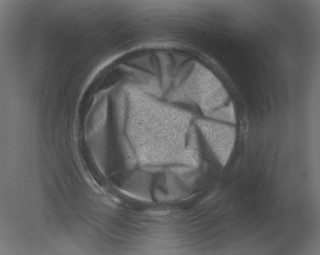 X0000080740724200701121936