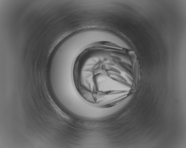 X0000080740725200701121936