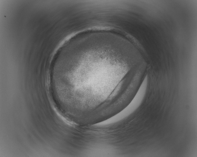 X0000080740726200701121936