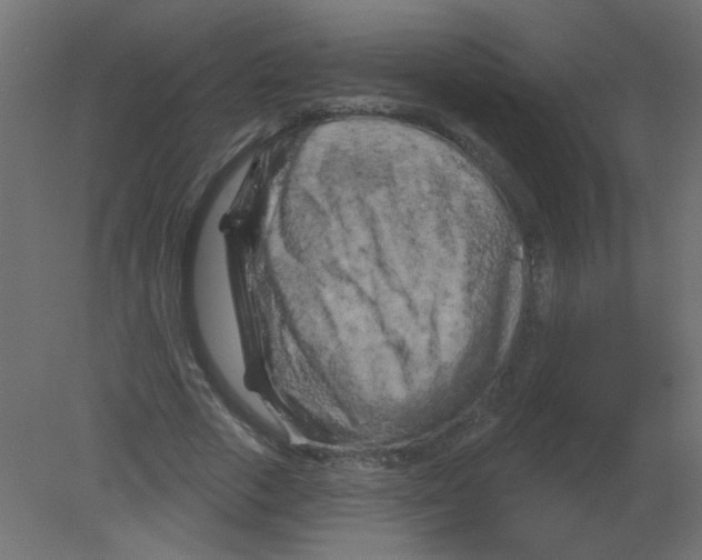 X0000080740729200701121936