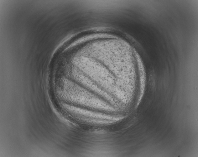 X0000080740730200701121936