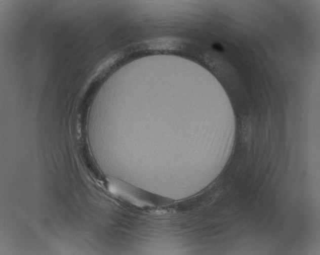 X0000080740731200701121936