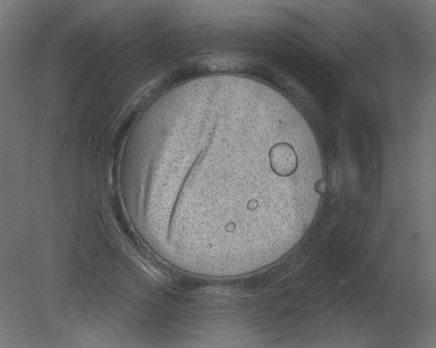 X0000080740733200701121936