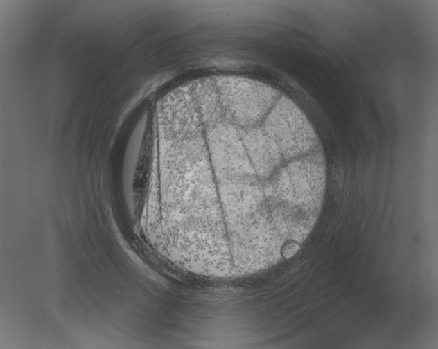 X0000080740734200701121936