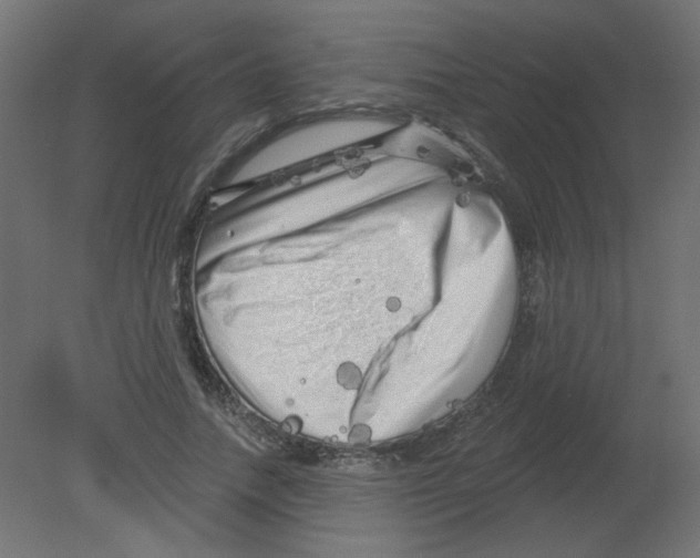 X0000080740738200701121936