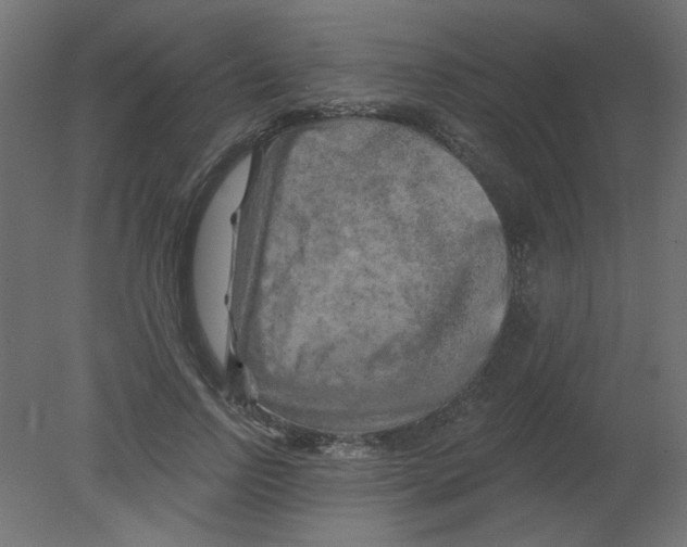 X0000080740742200701121936