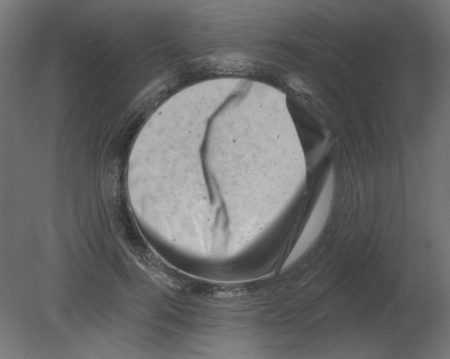 X0000080740744200701121936