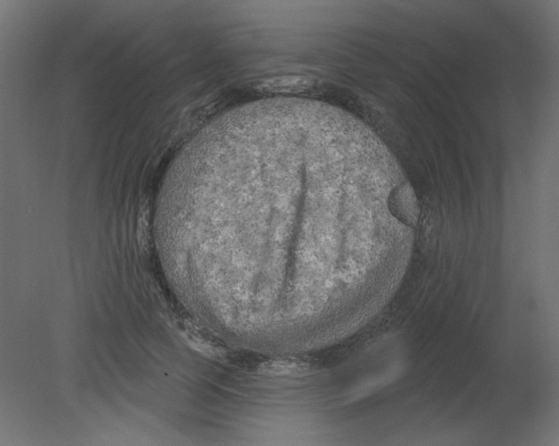 X0000080740745200701121936