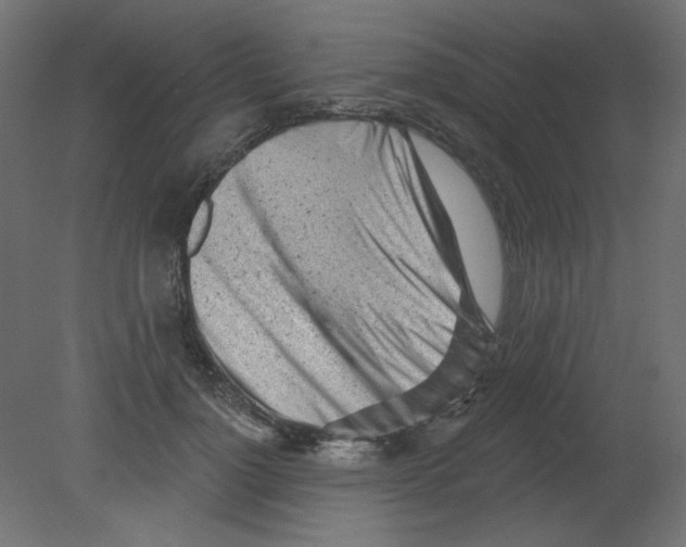 X0000080740748200701121936