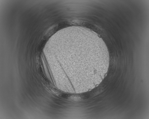 X0000080740749200701121936