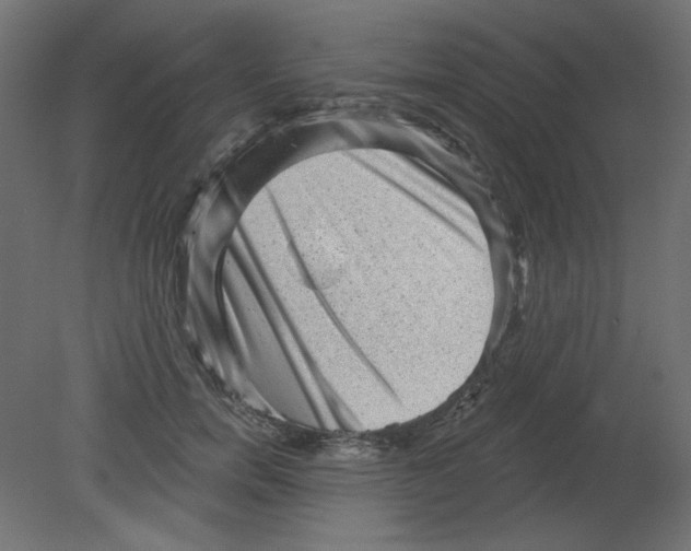 X0000080740750200701121936