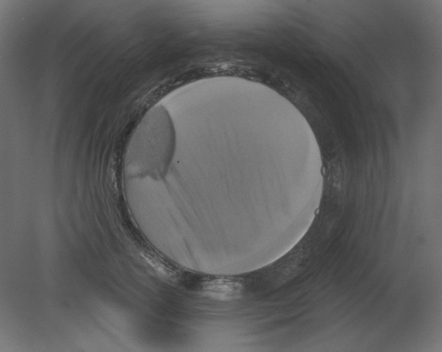 X0000080740754200701121936