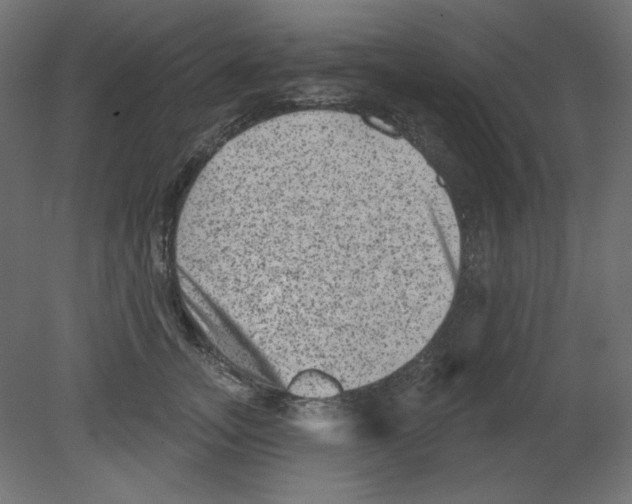 X0000080740755200701121936