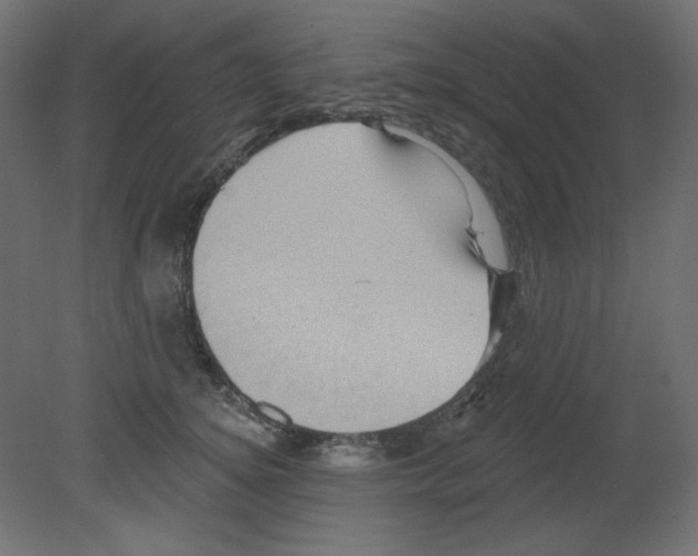 X0000080740756200701121936