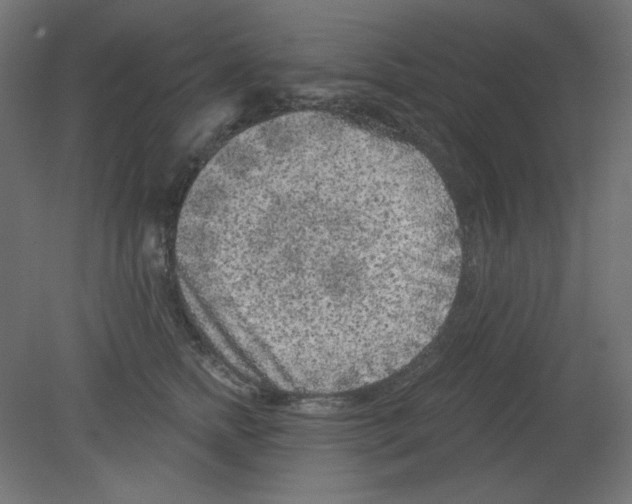 X0000080740758200701121936