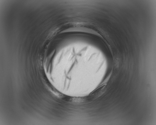 X0000080740766200701121936