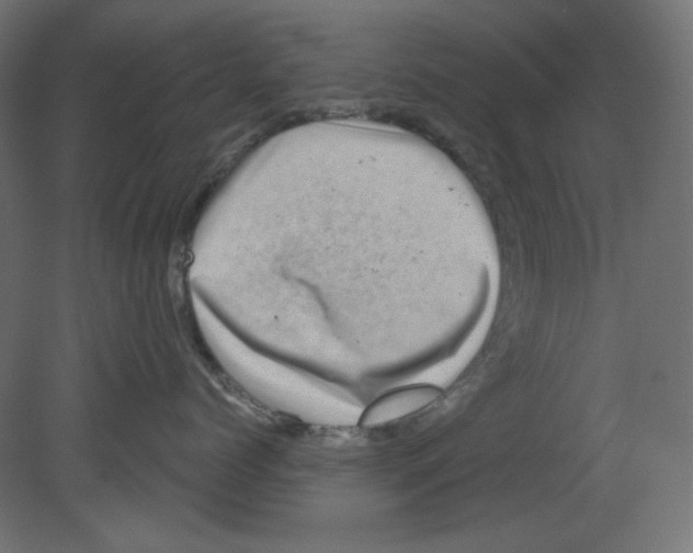 X0000080740768200701121936