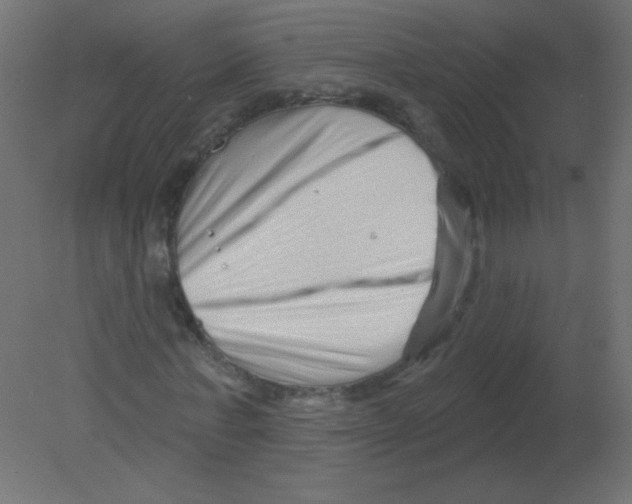 X0000080740771200701121936