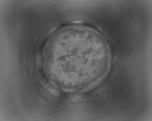 X0000080740772200701121936