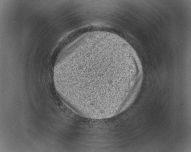 X0000080740776200701121936