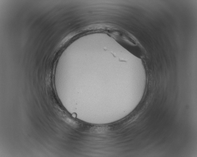 X0000080740778200701121936