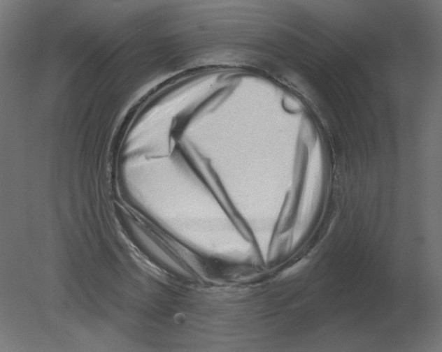 X0000080740779200701121935