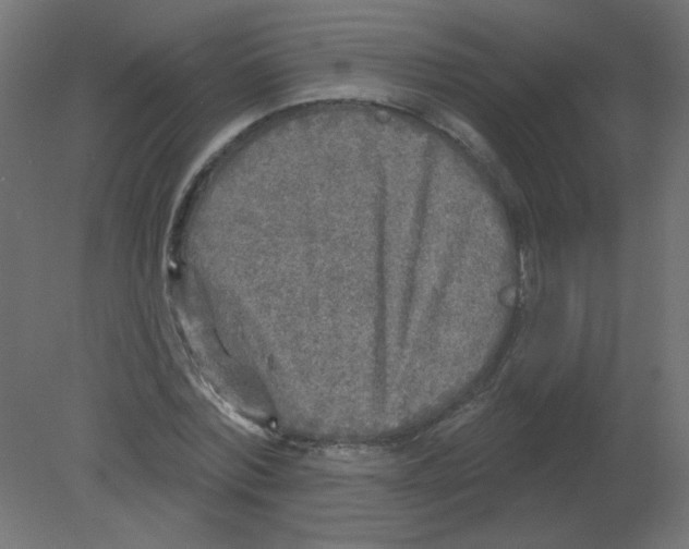 X0000080740780200701121935