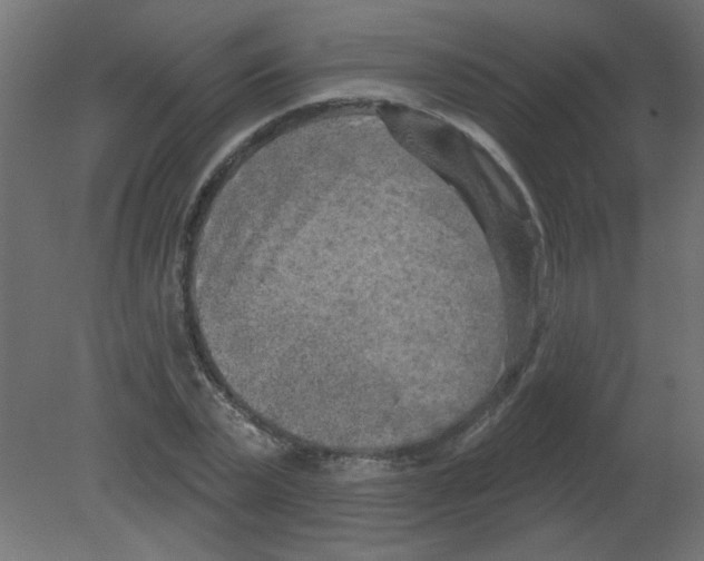 X0000080740783200701121935