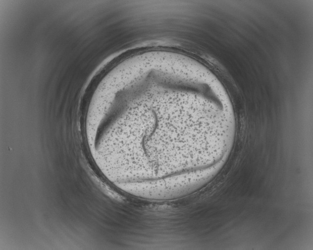 X0000080740784200701121935