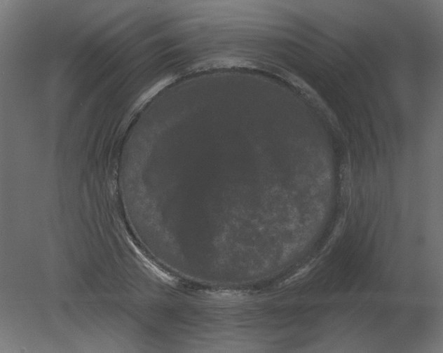 X0000080740785200701121935