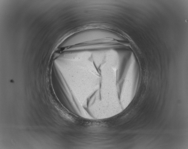 X0000080740786200701121935