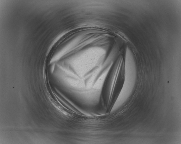 X0000080740788200701121935