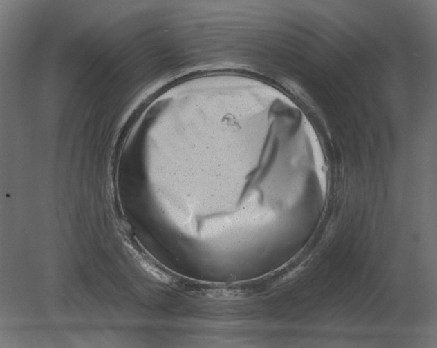 X0000080740789200701121935