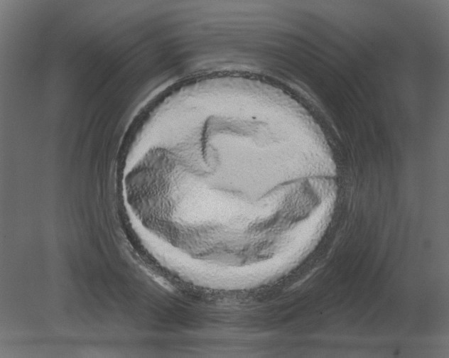 X0000080740790200701121935