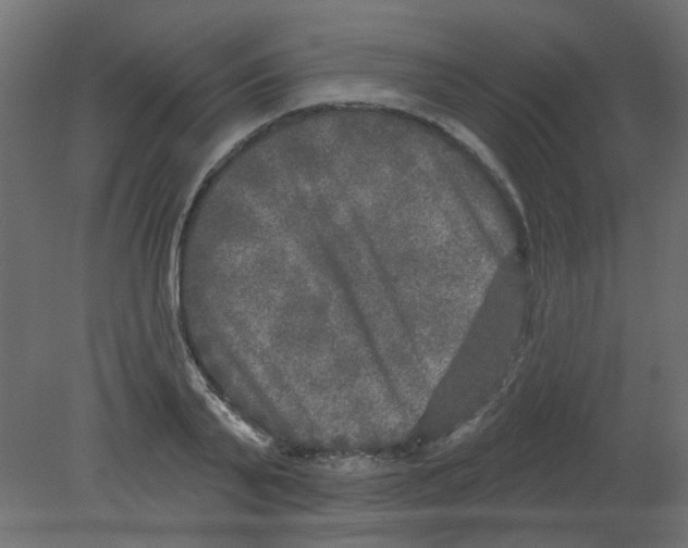 X0000080740791200701121935