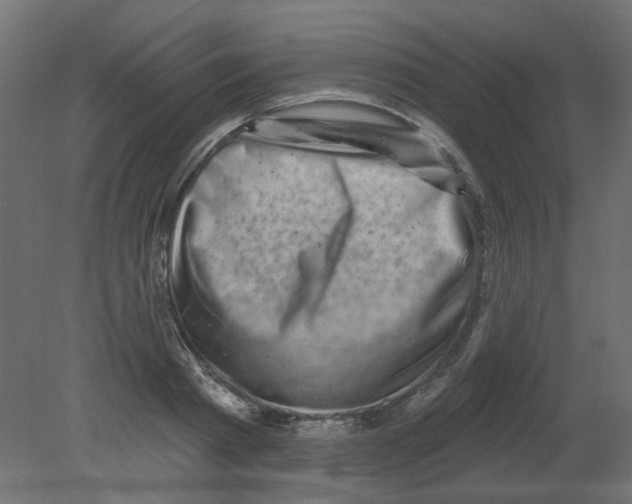 X0000080740793200701121935