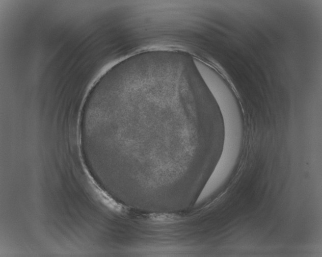 X0000080740795200701121935