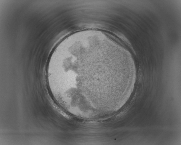 X0000080740798200701121935