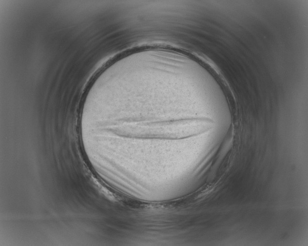 X0000080740799200701121935